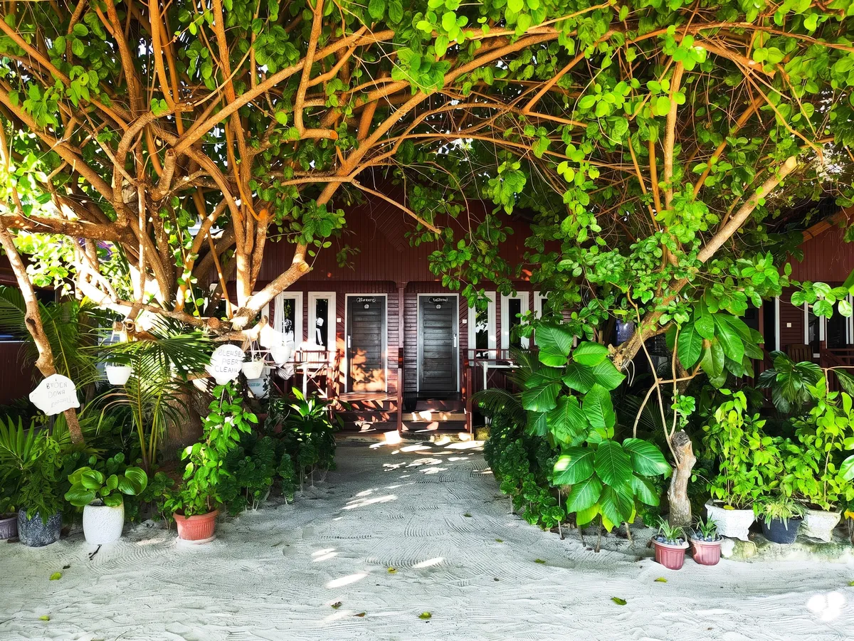 Borneo Cottage Maratua Resort, right beside the main village jetty in Teluk Harapan